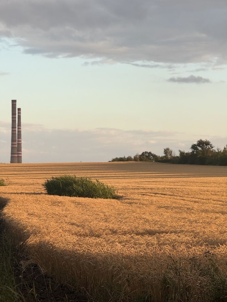 Photograph by Бойкова Наталия