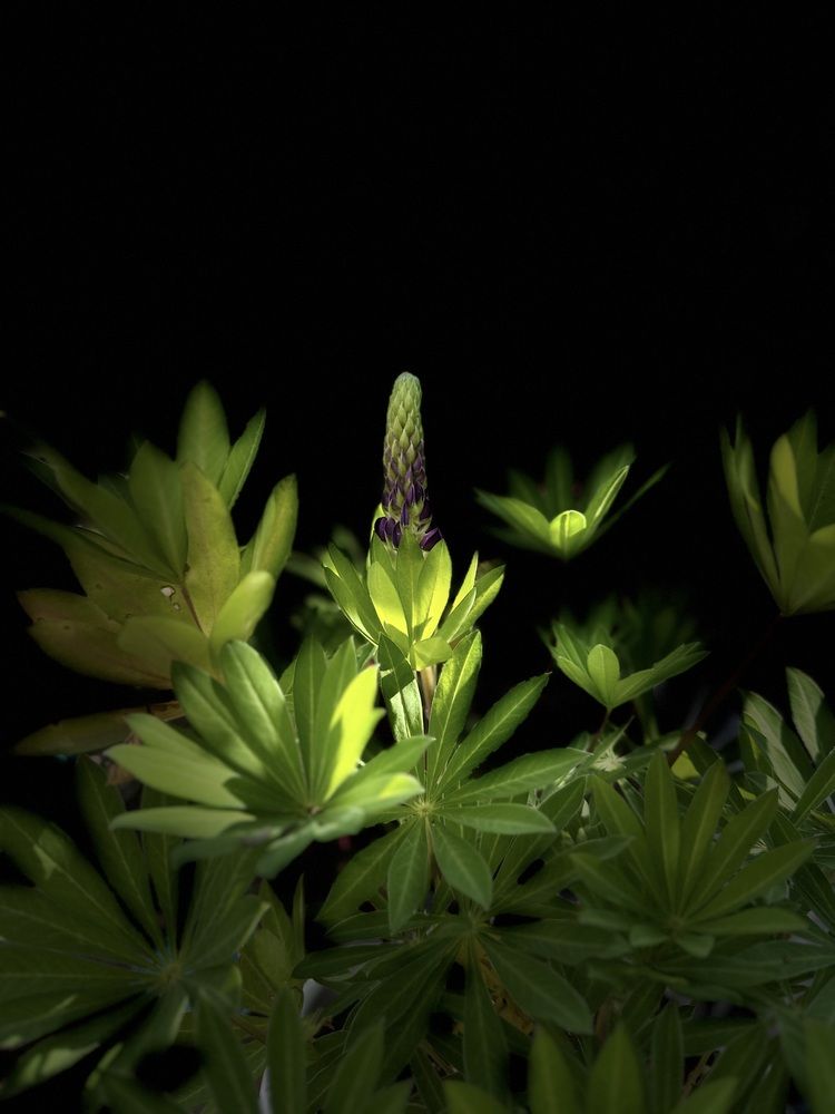 Photograph by Бойкова Наталия