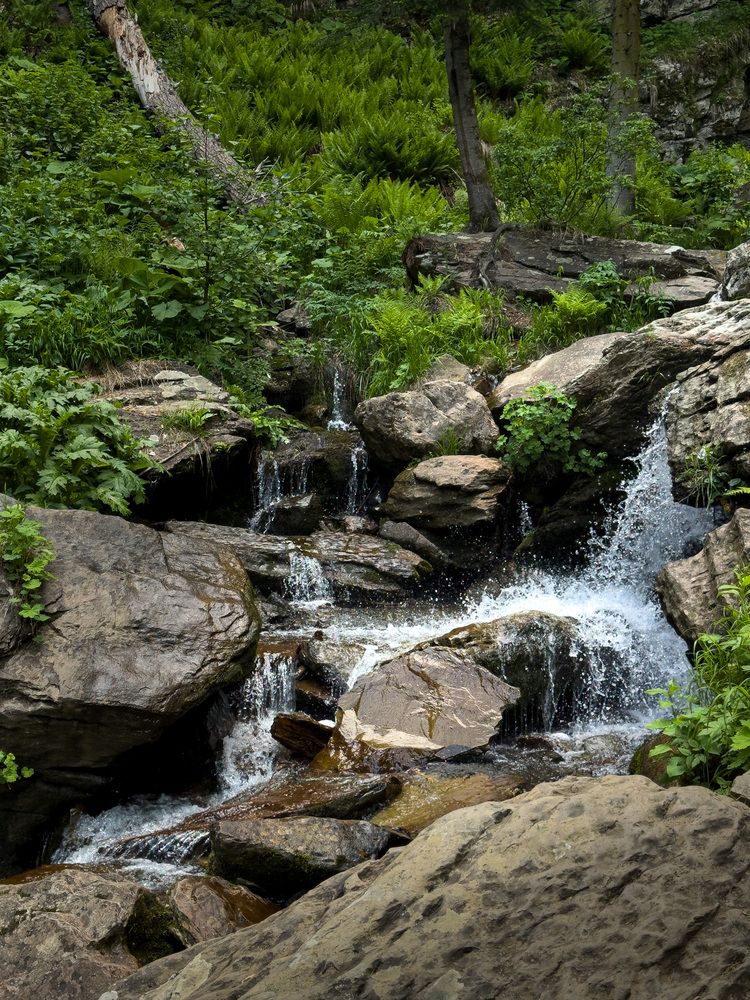 Photograph by Victor Bashtovoy