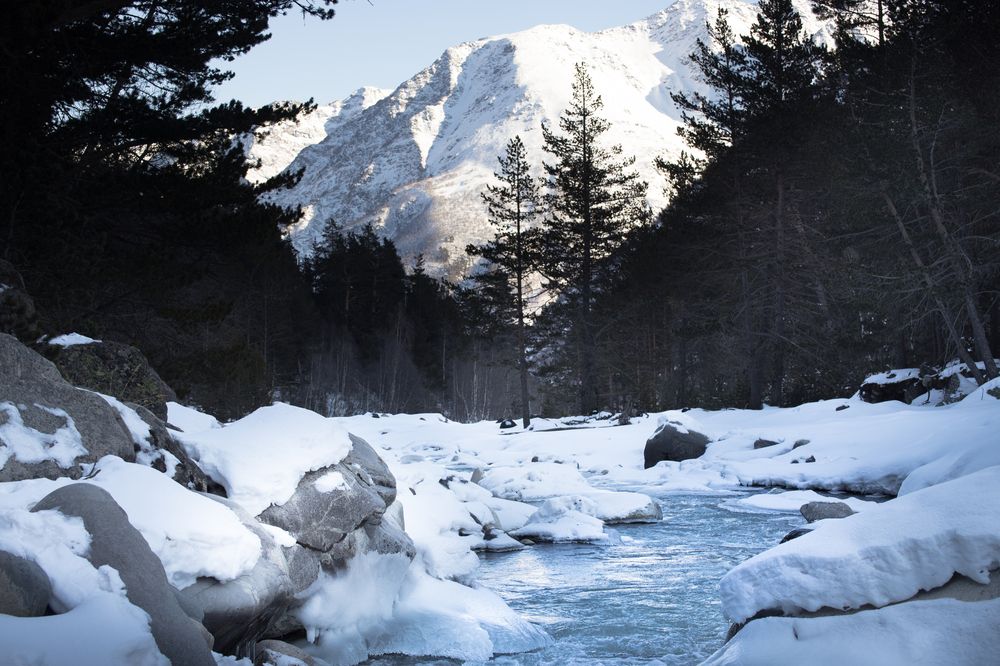 Photograph by Михаил Солодухо