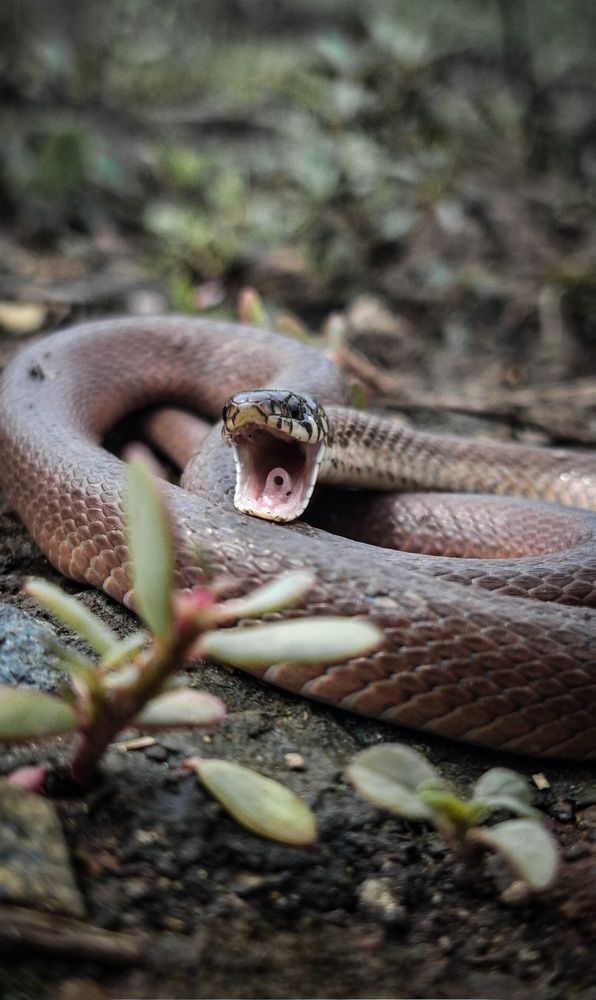 Photograph by Tatiana Kirillova