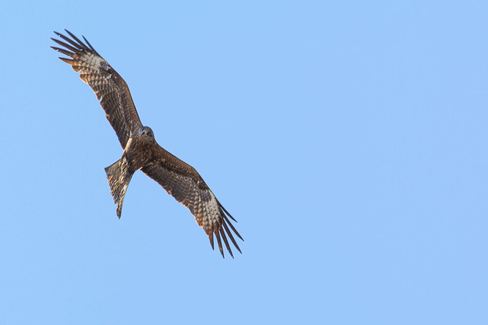 Photograph by Данил Баглаев