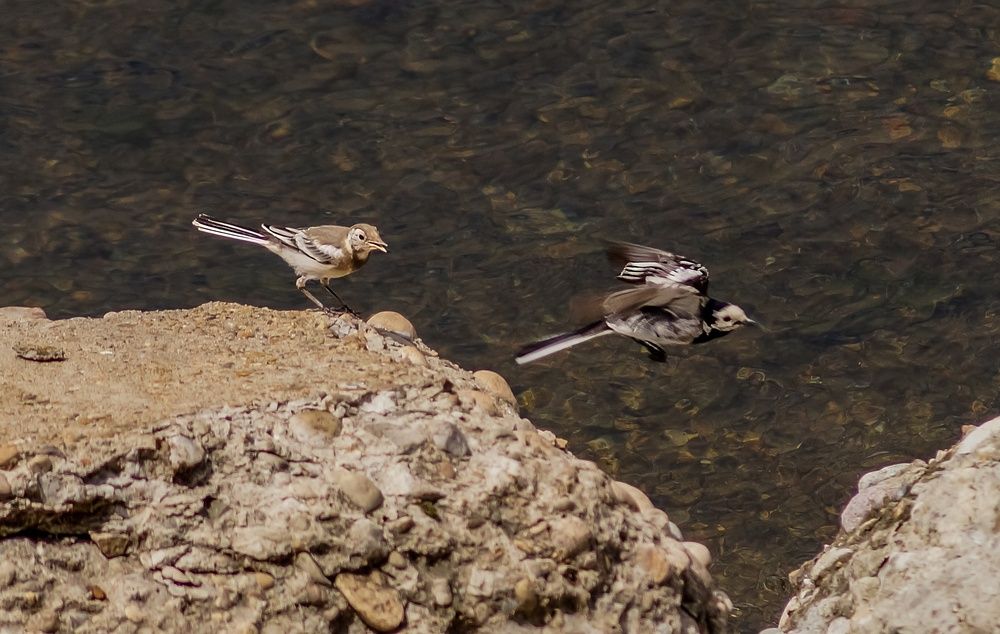 Photograph by Виктор Сёмушкин