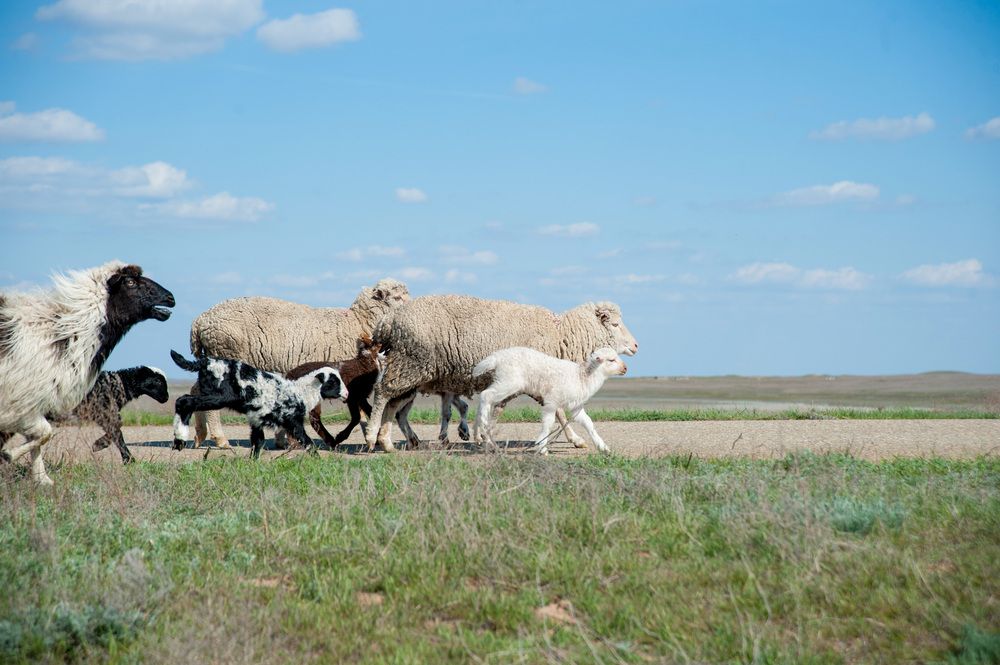 Photograph by Александр Кучерявый