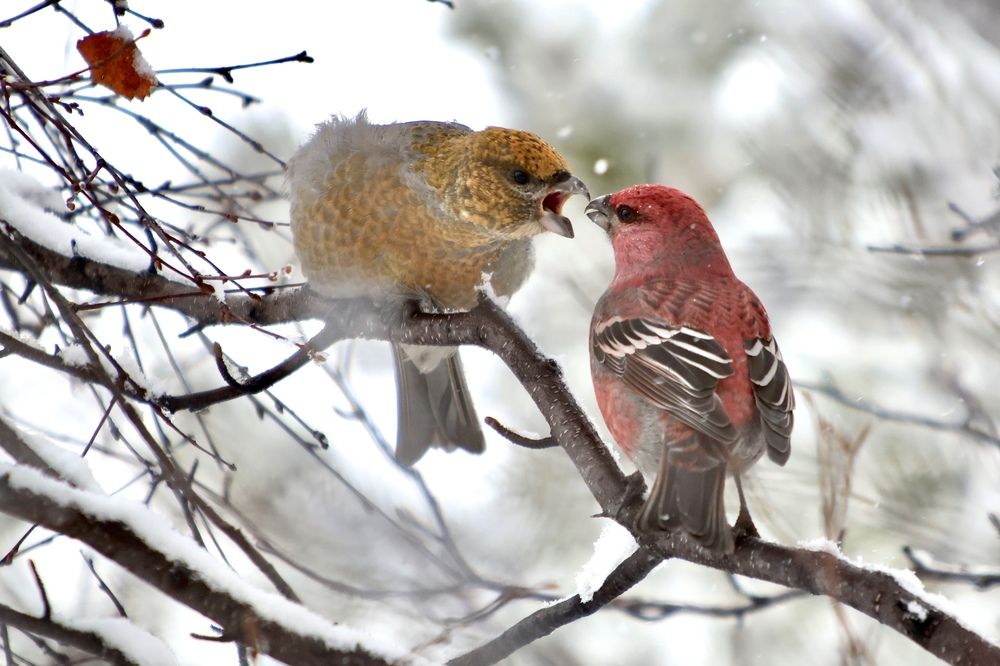 Чего пристал?