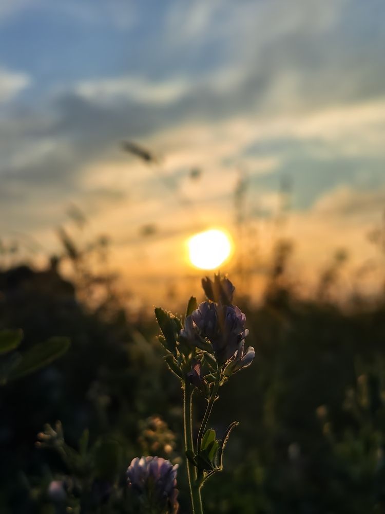 Photograph by Екатерина
