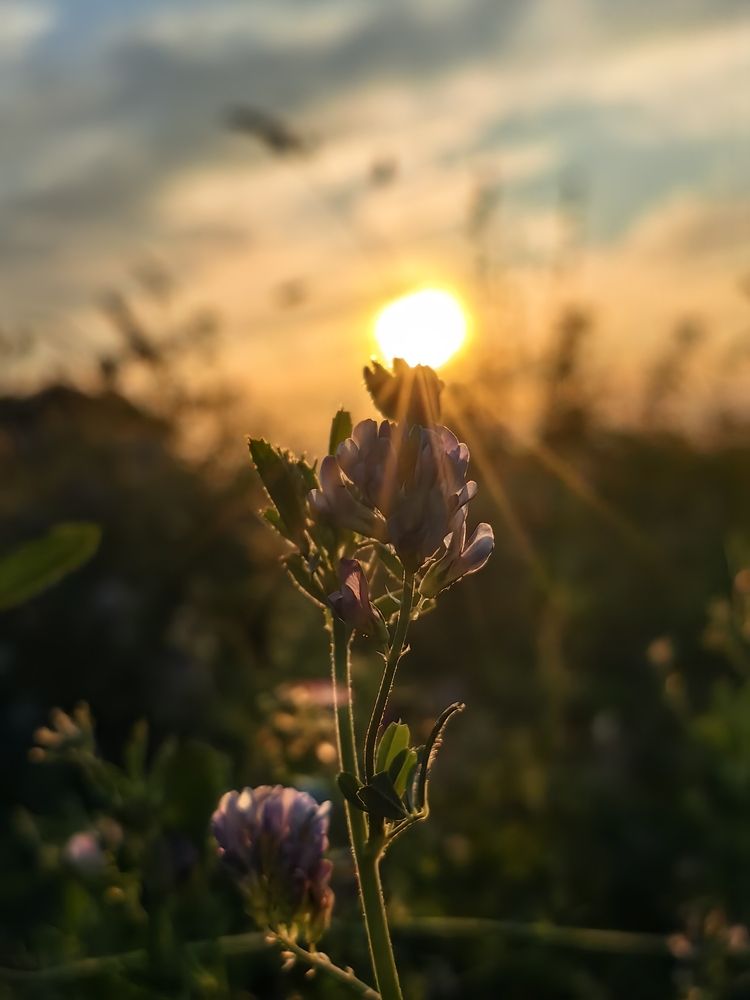 Photograph by Екатерина