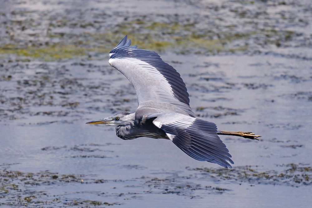 Photograph by Юрий Ломакин