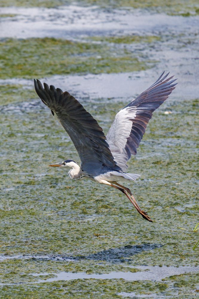Photograph by Юрий Ломакин