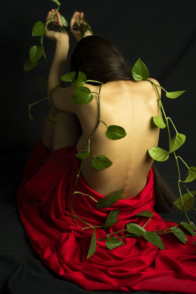 Roots in the soil