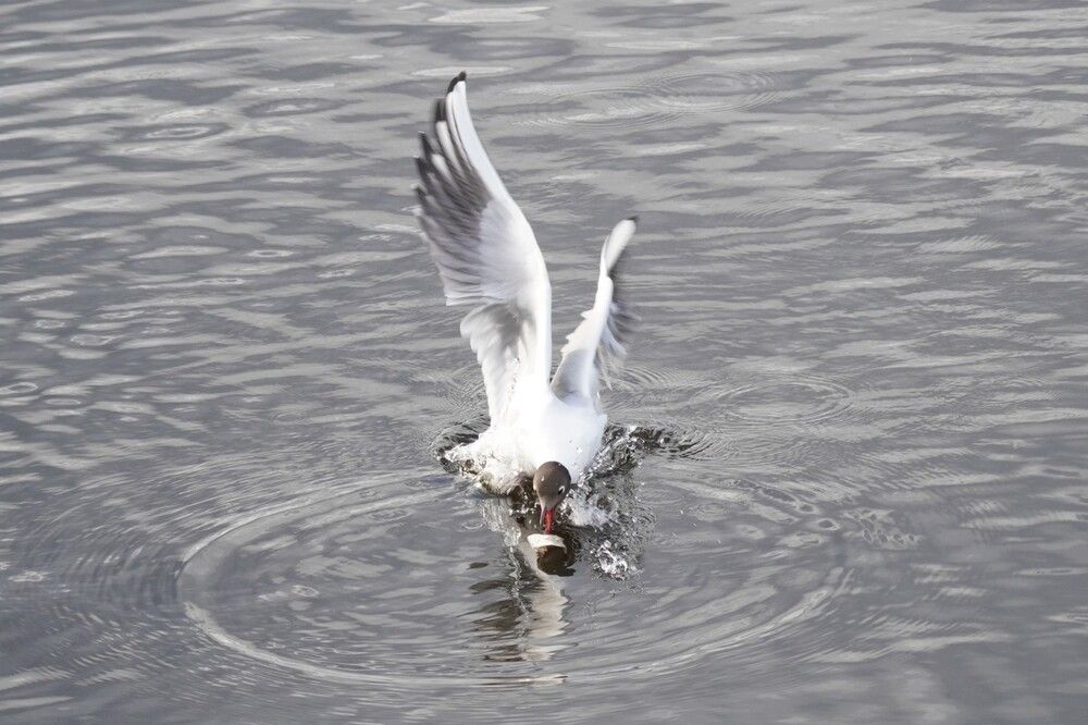 Photograph by Алфия Бугакова