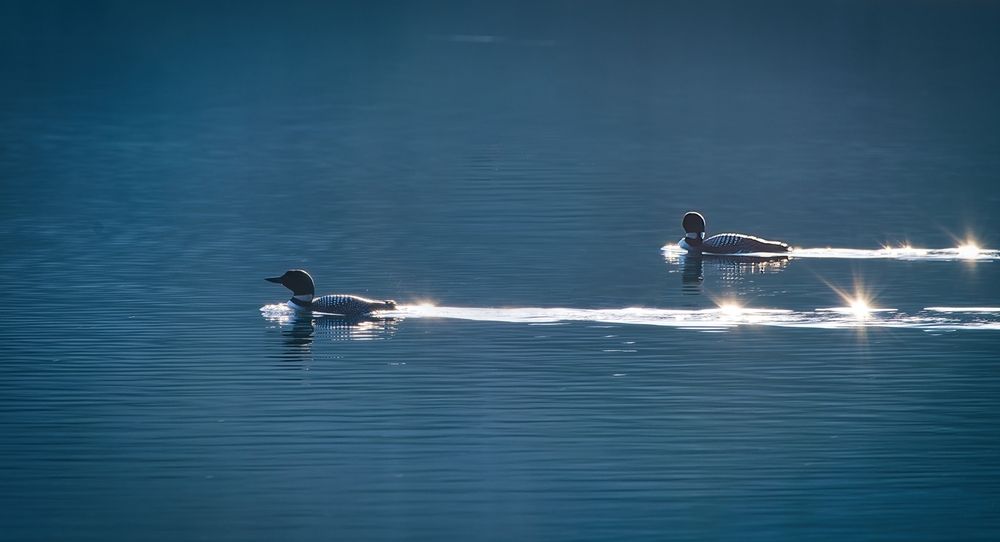 Photograph by Yves Lanthier