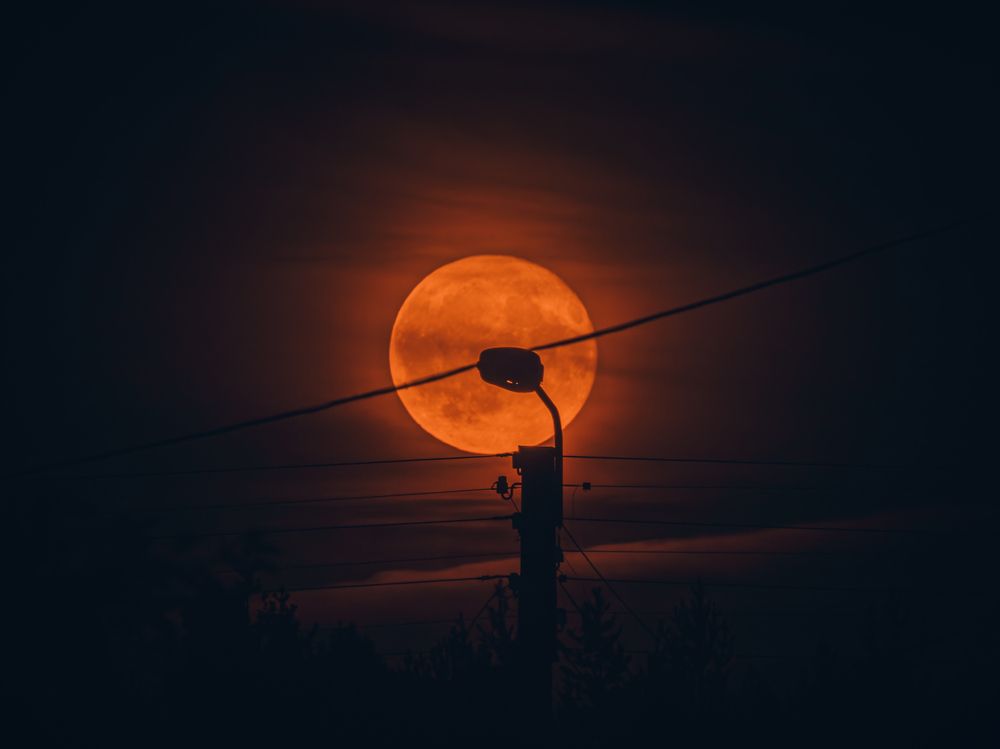 Photograph by Алексей Акулин