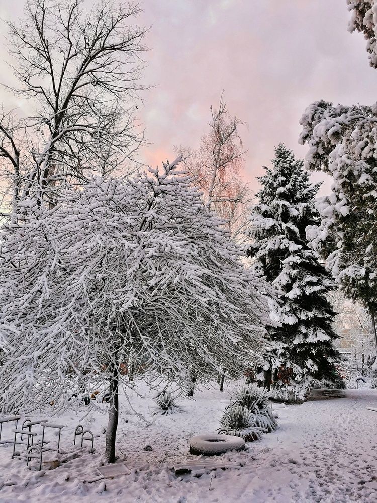 Photograph by Светлана Смирнова