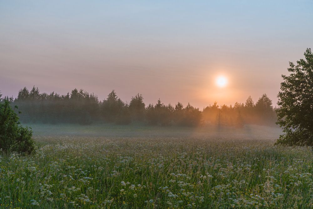 Photograph by Кокорин Алексей