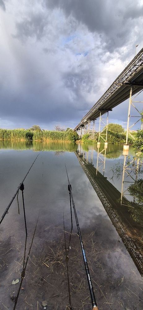 Фотография автора Ольга Мусина