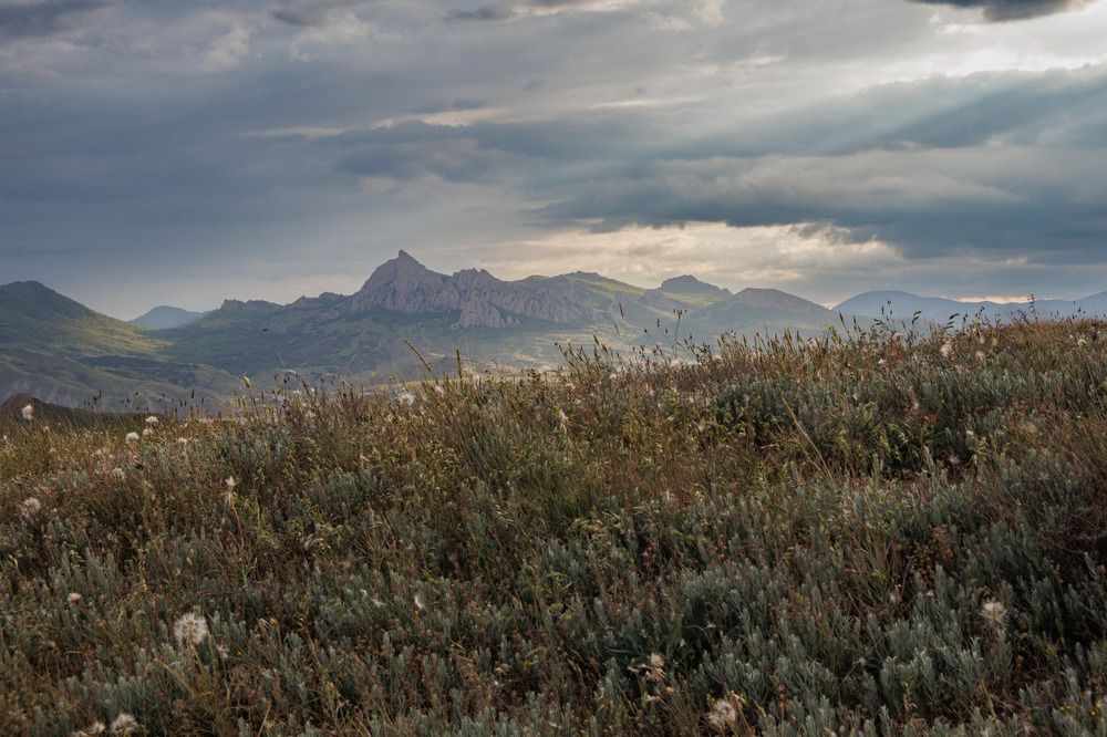 Фотография автора Ярослав Качура