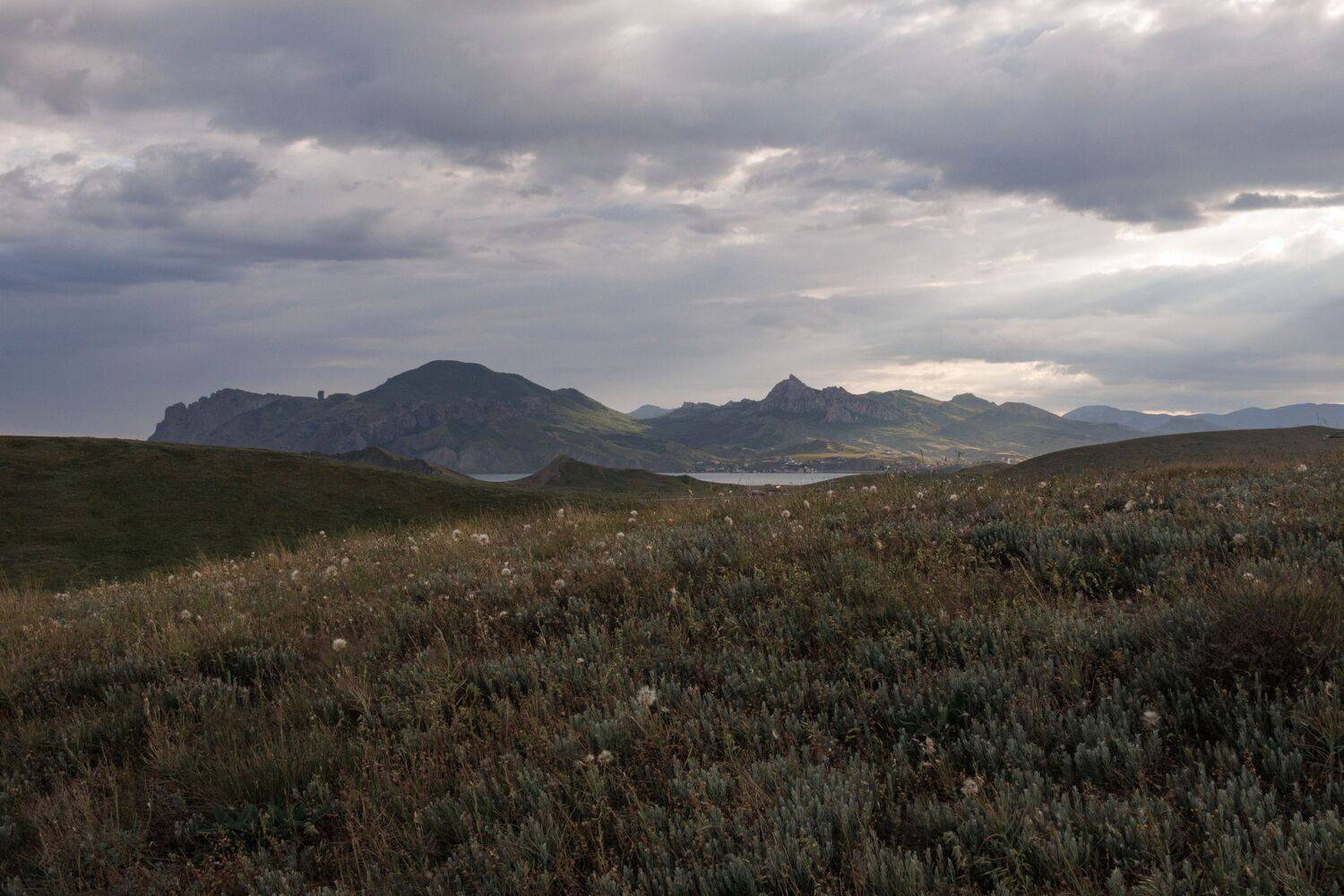 Photo #12381078
