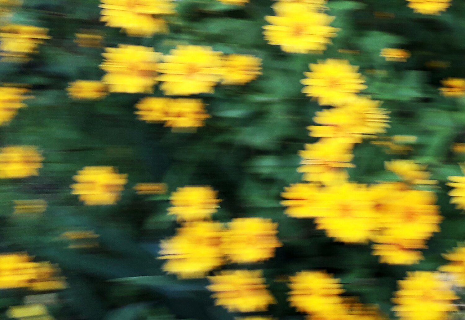 Photo #12381082