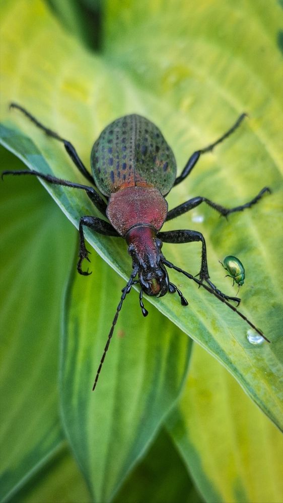 Photograph by Tatiana Kirillova