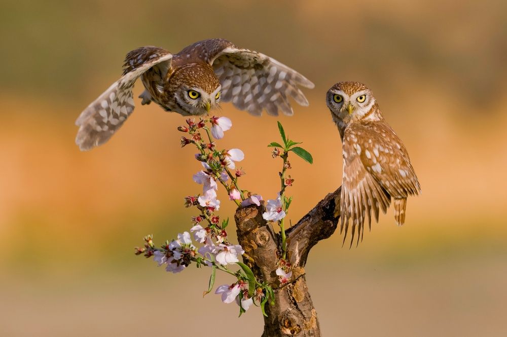 Photograph by David Manusevich