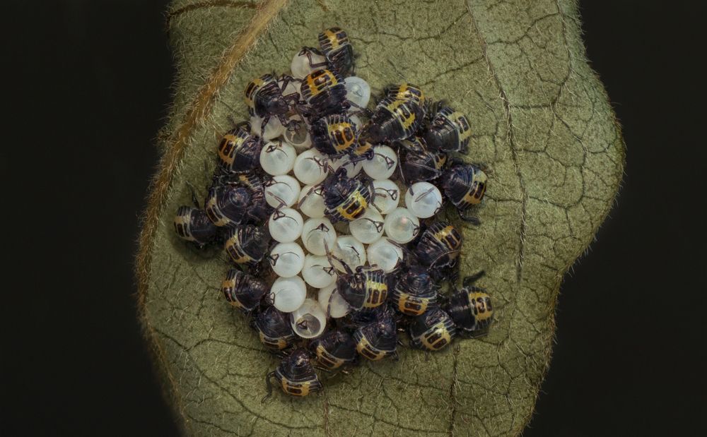 Фотография автора Тараненко Анжелика