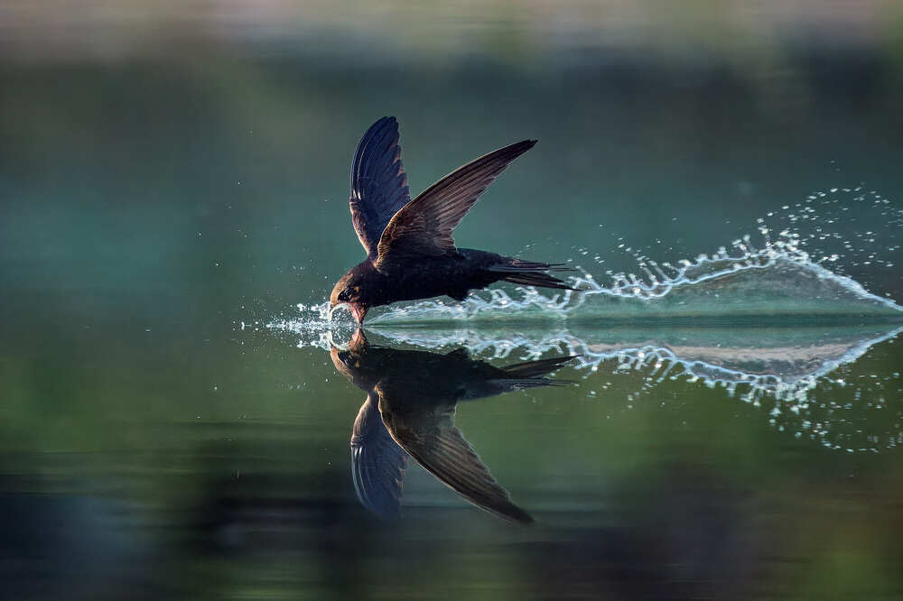 Photograph by Mikhail Khmelevskiy