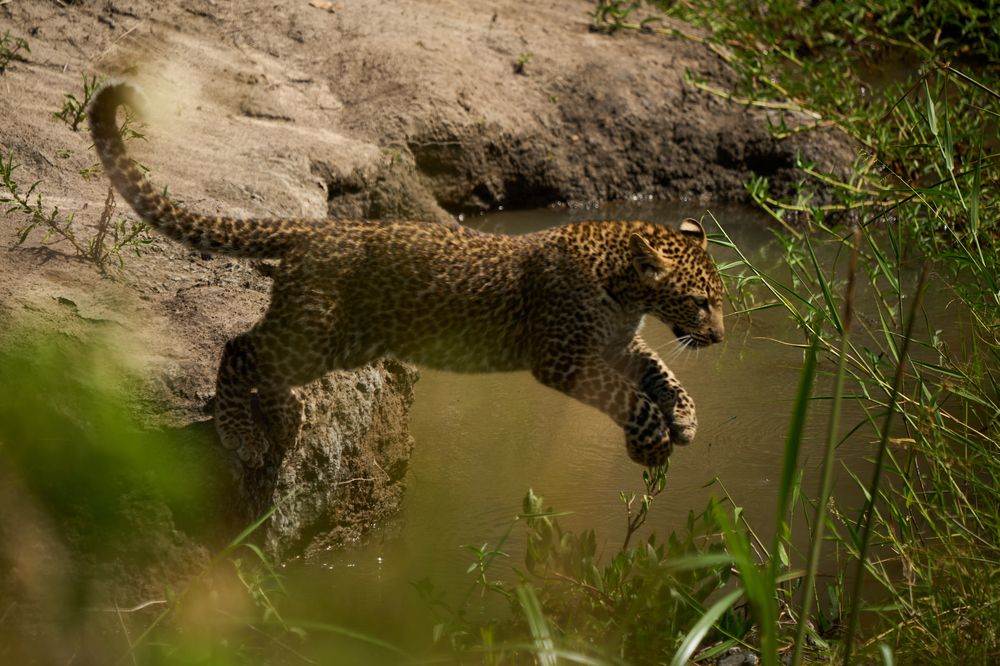 Photograph by Dinh Nguyen