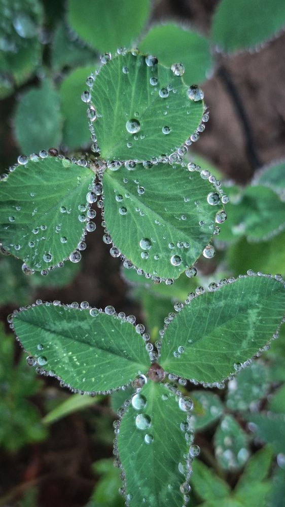 Photograph by Татьяна Кириллова