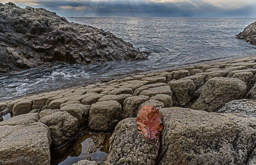 Photograph by Ольга Ченцова