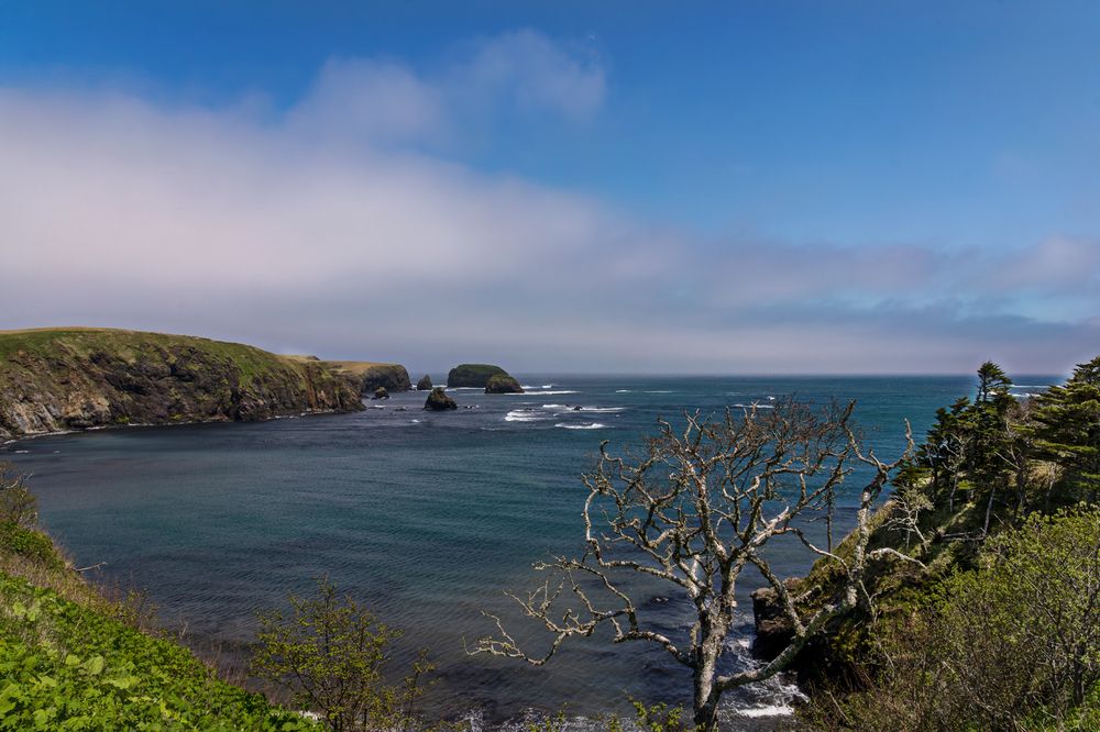 Photograph by Ольга Ченцова