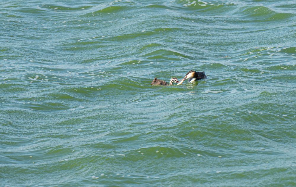 Photograph by Сергей Хранитель