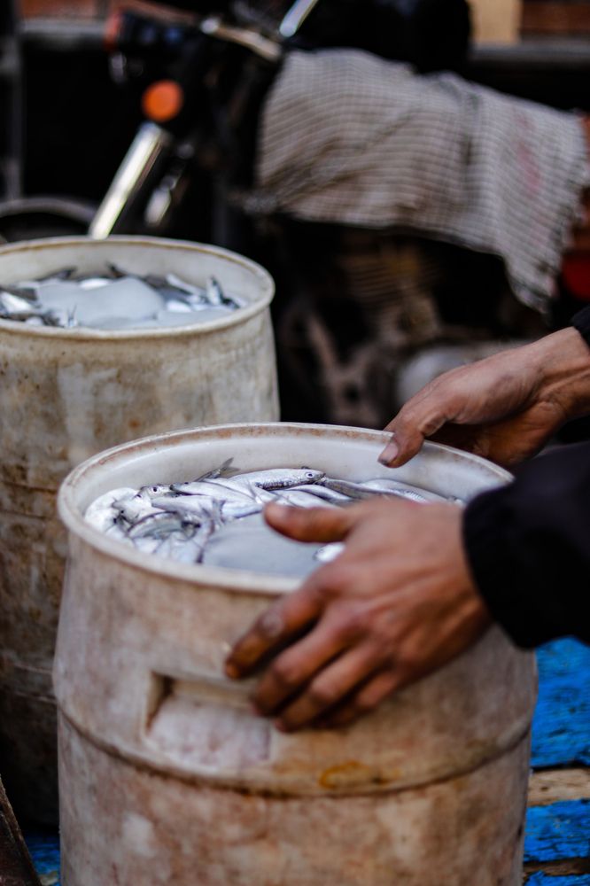 Photograph by Mehrad Mallaei