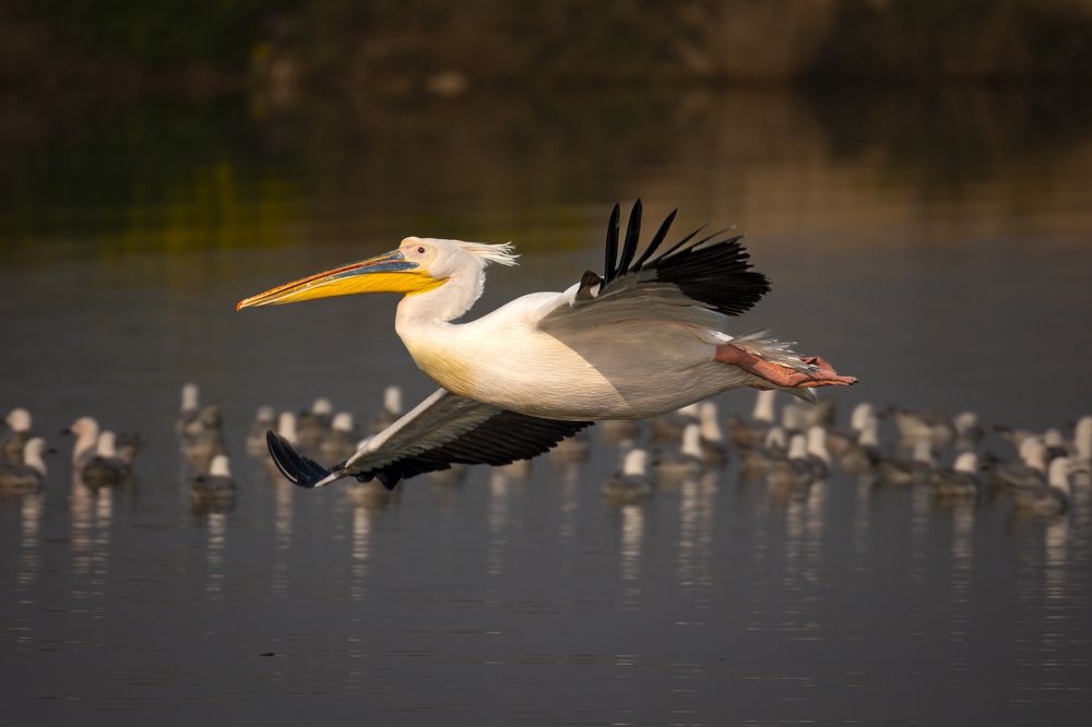 Photograph by Георгий