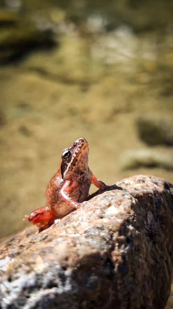 Photograph by Tatiana Kirillova