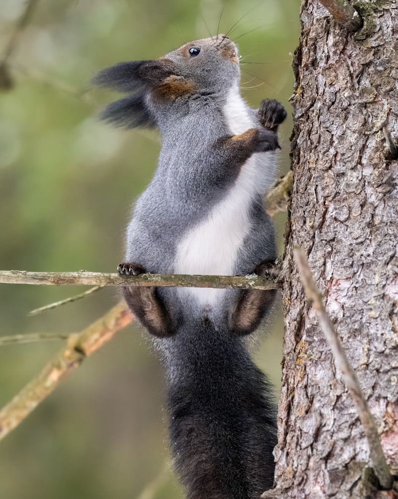 Photograph by Екатерина Дубровская