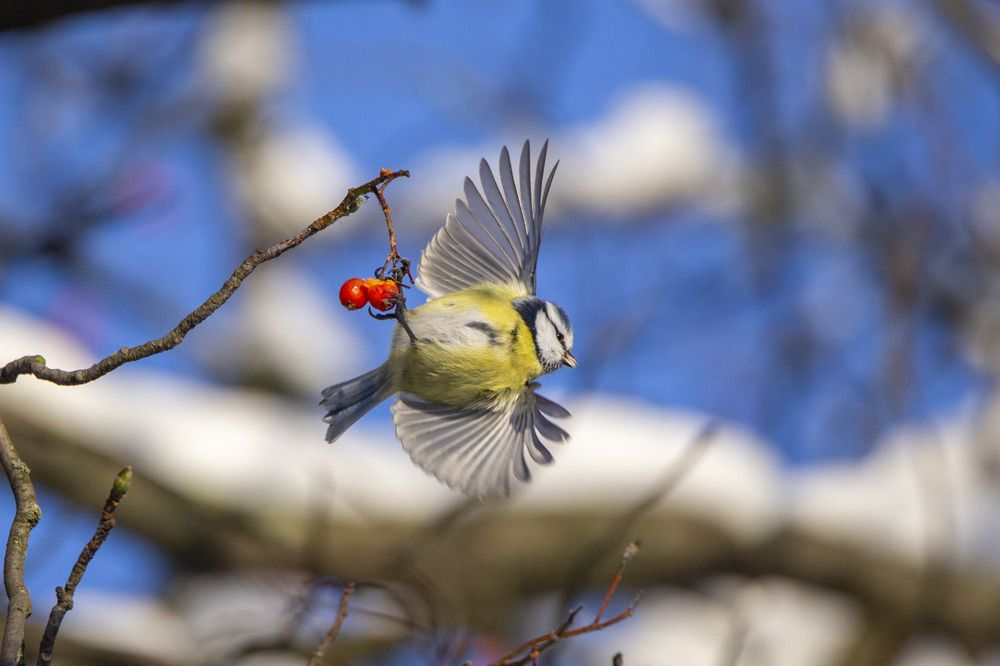 Photograph by Игорь Селин