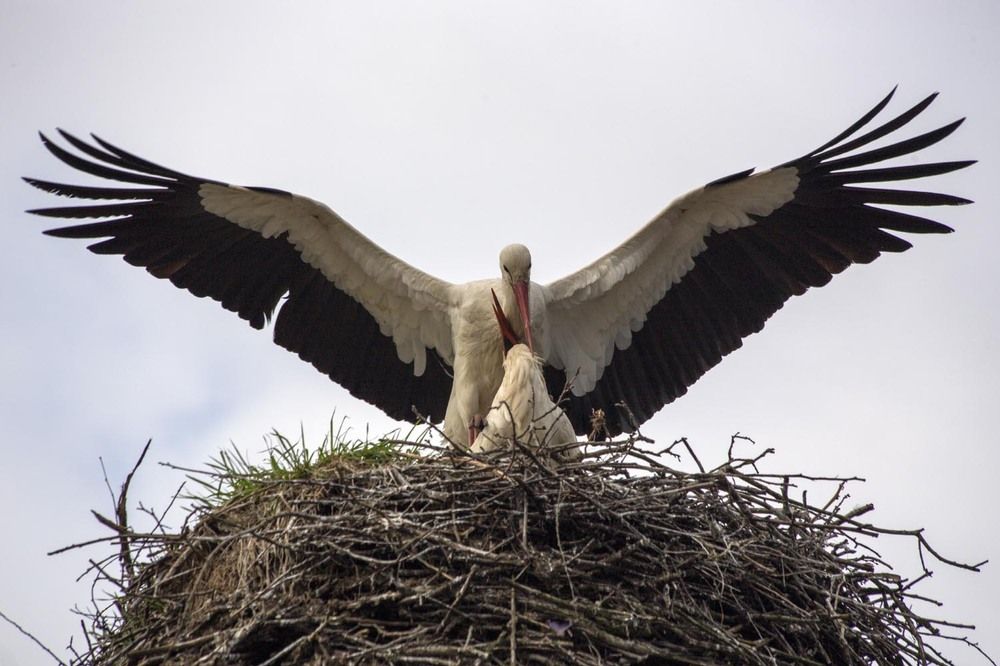 Photograph by Игорь Селин