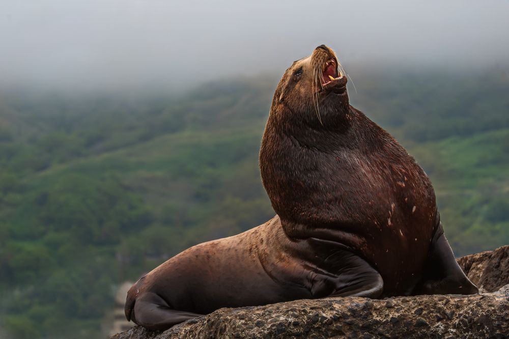 Photograph by Ольга Ченцова