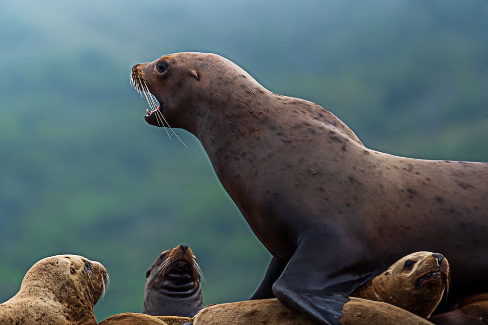 Photograph by Ольга Ченцова