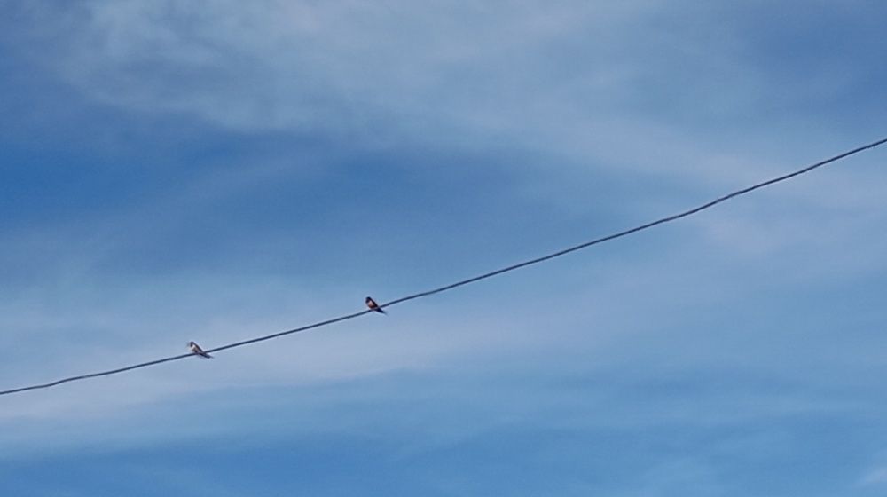 Photo #12381421