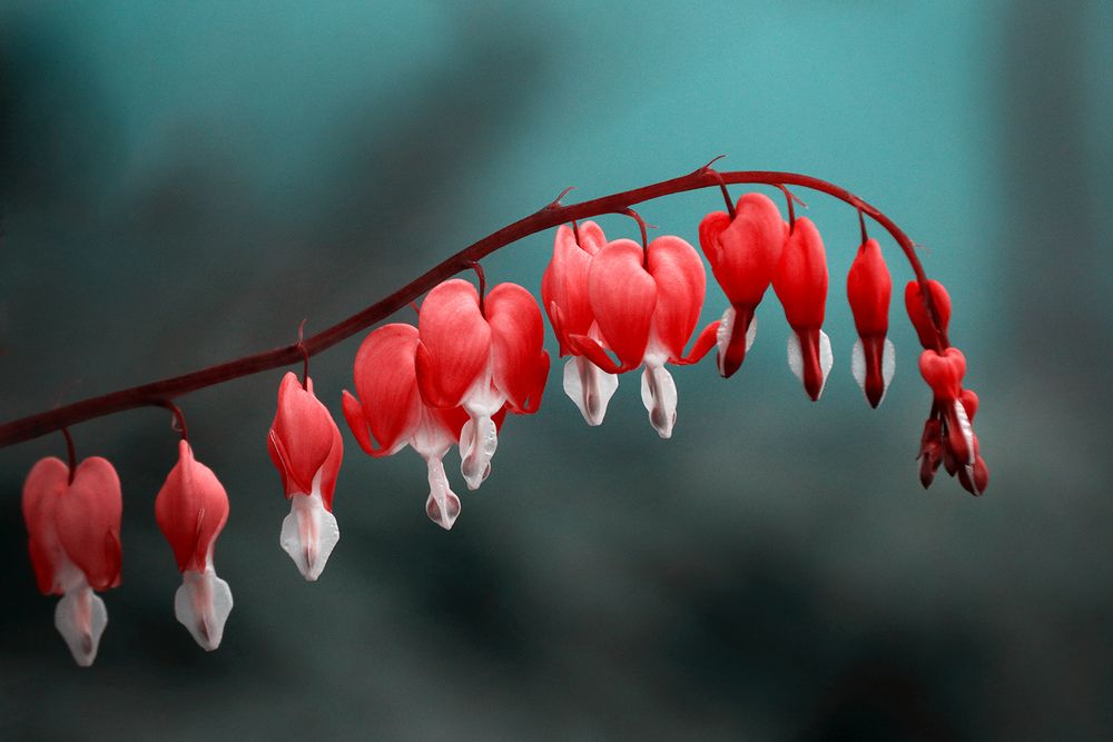 Photograph by Кулешов Сергей