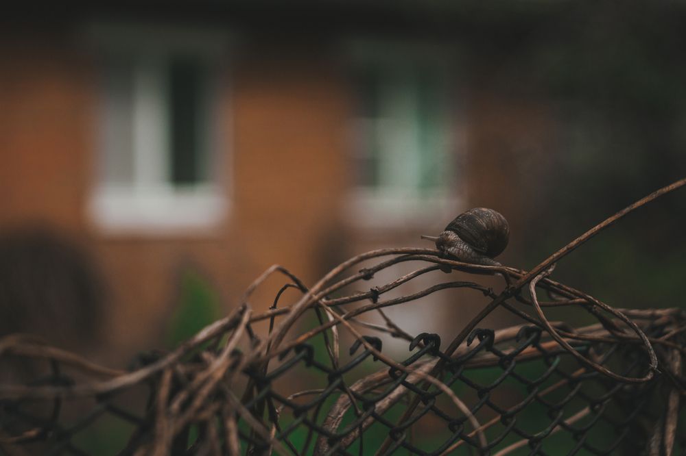 Photograph by Катерина Гест