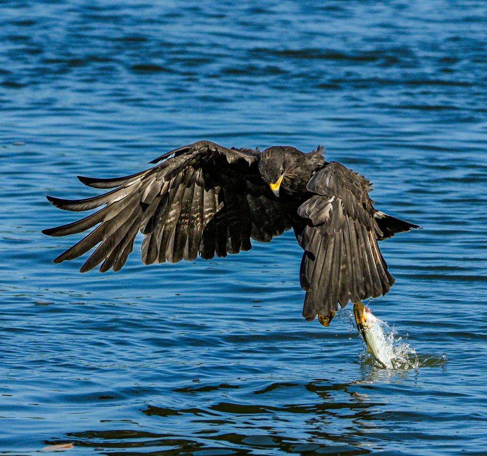 Фотография автора fabio chiari