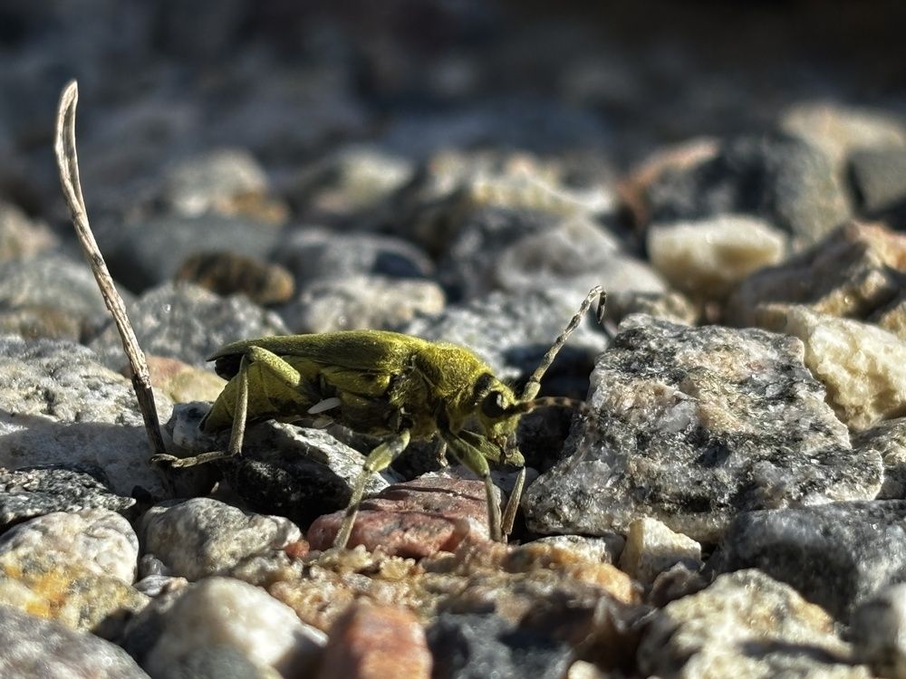 Photograph by ЮЛИЯ СУЛИМОВА