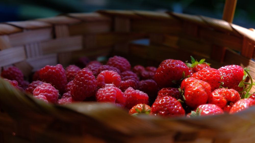 Photograph by Яна Истоцкая