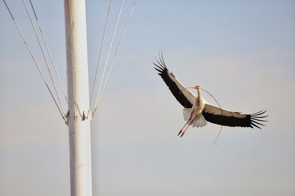 Фотография автора Роман Савин