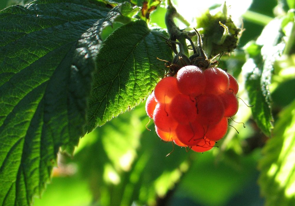 Photograph by Pavel Gukov