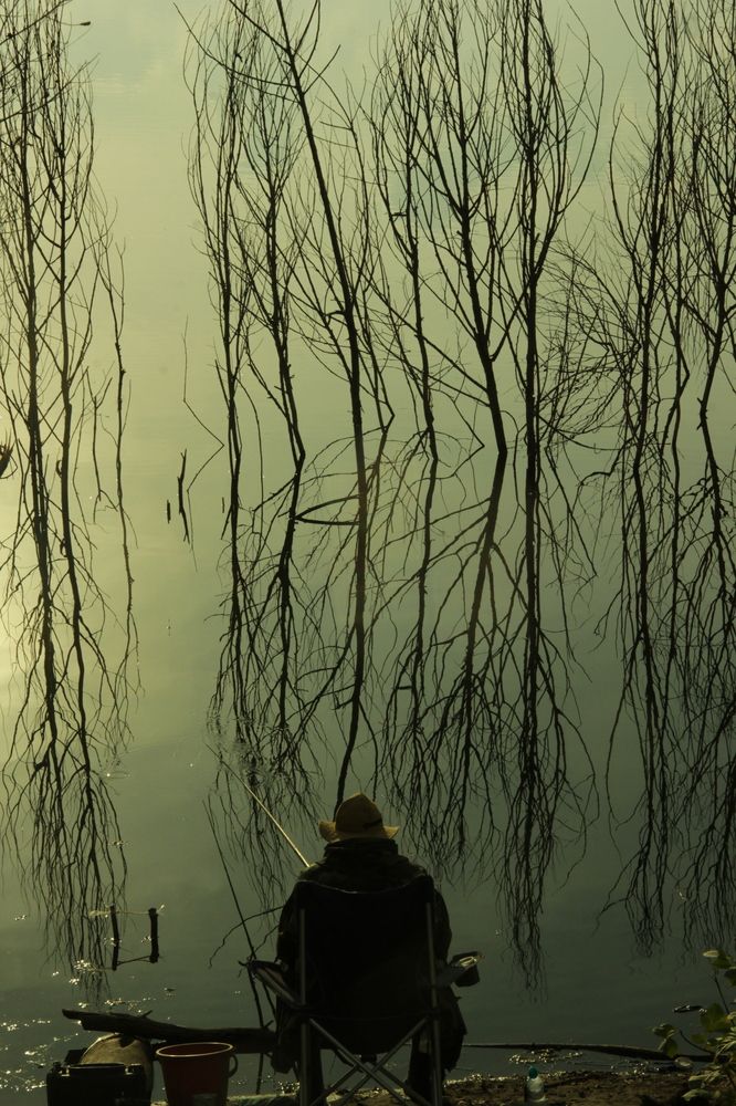 Photograph by Андрей Яшин