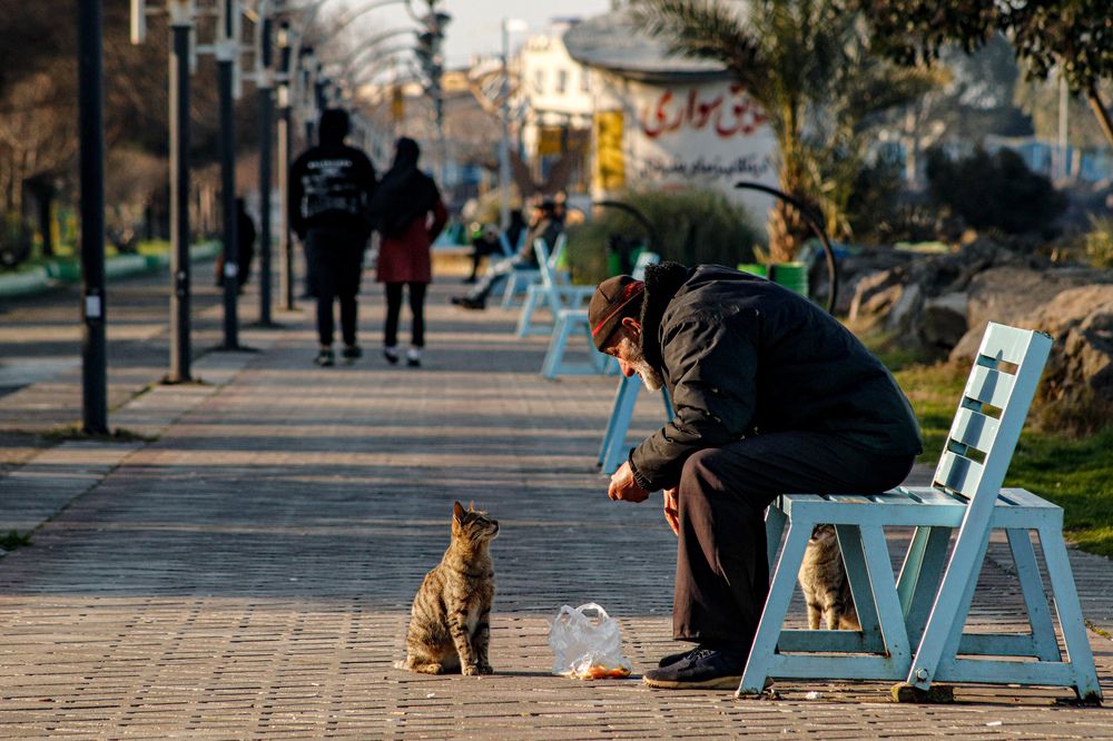 Photograph by Mehrad Mallaei